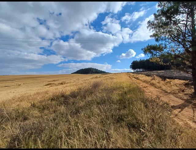 63.80HA FARM FOR SALE IN LIONS RIVER
